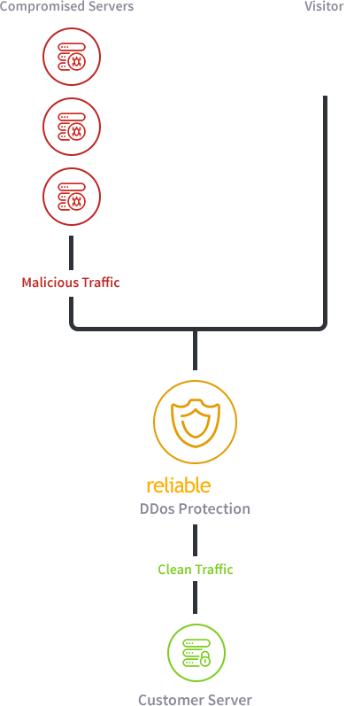 DDoS Protection